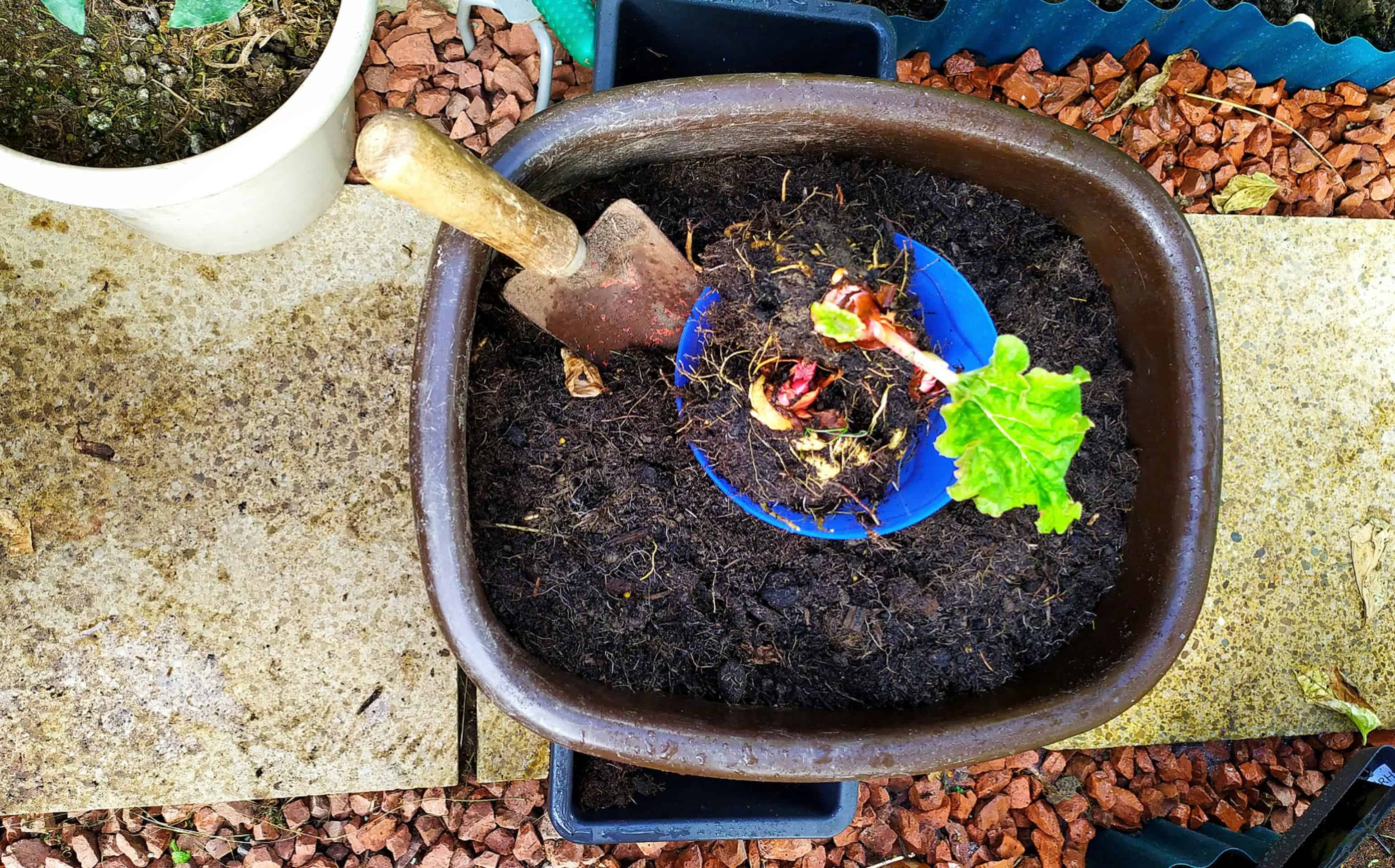 Activités en plein air