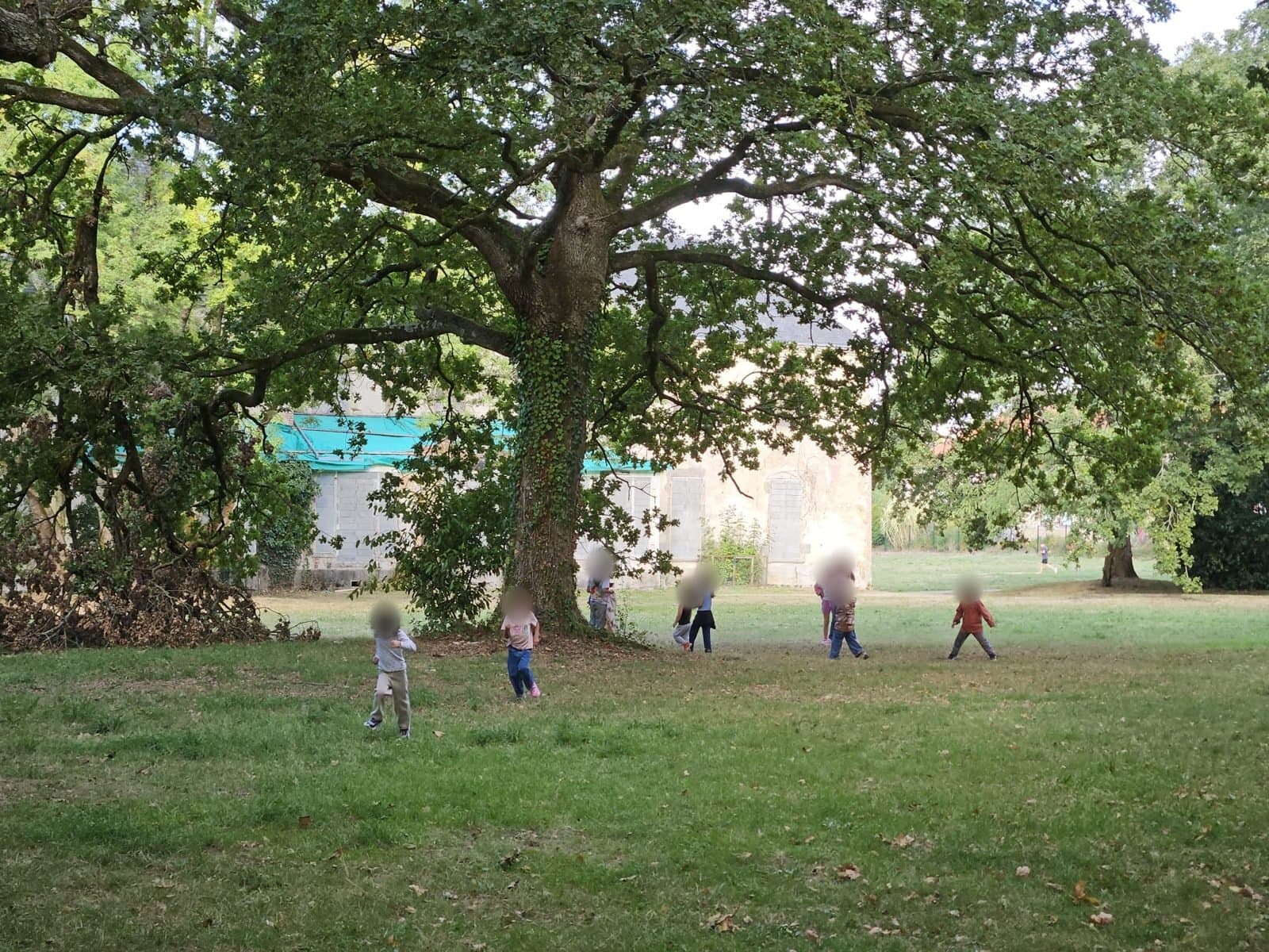 Les enfants jouent dans l'herbe au pied d'un grand chêne