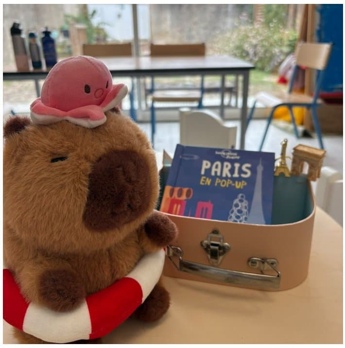Bibi et sa valise de France